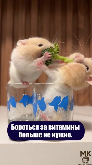 Бороться за витамины больше не нужно.