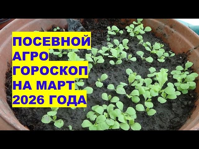 Март 2026: Самые Лучшие Дни Для Посевов и Посадок Овощей и Цветов?! Март 2026: Самые Лучшие Дни Для Посевов и Посадок Овощей и Цветов?!