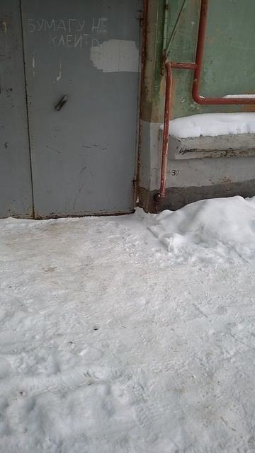 №1236 Двор П. Осипенко 48. 30 декабря 2025 г., 11:02:05 VID_20251230_110155776