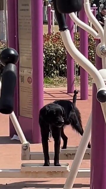 На расслабоне