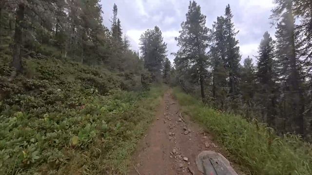 пик черского