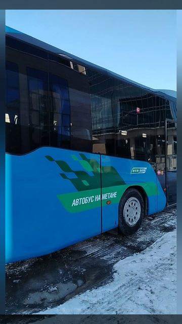 Новый транспорт в оренбурге смотреть онлайн