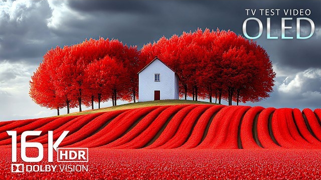 Природа лечит сознание. 4K UHD