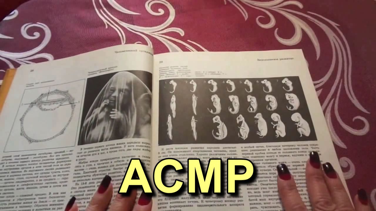 АСМР. Старая энциклопедия. Антикварная лавка / ASMR смотреть онлайн