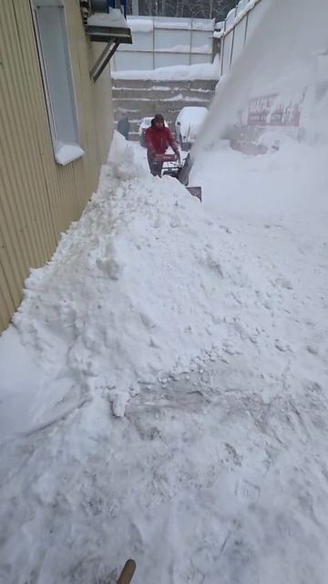 Бюджетный гусеничный снегоуборщик Weima 💪