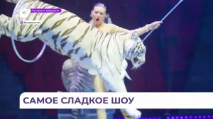 Проект «Шоколадная фабрика» представит во Владивостоке премьеру яркого шоу