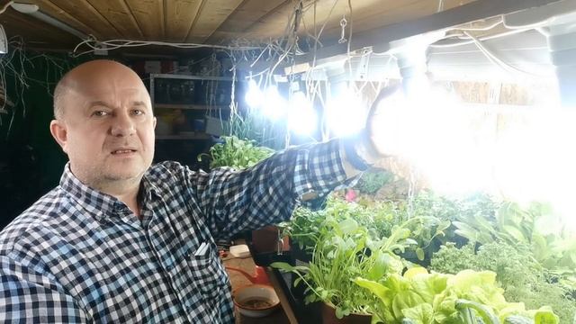 pomidom/ru Как сделать подсветку для рассады в 2022 году. Дёшево Надёжно и Практично!