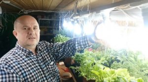 pomidom/ru Как сделать подсветку для рассады в 2022 году. Дёшево Надёжно и Практично!