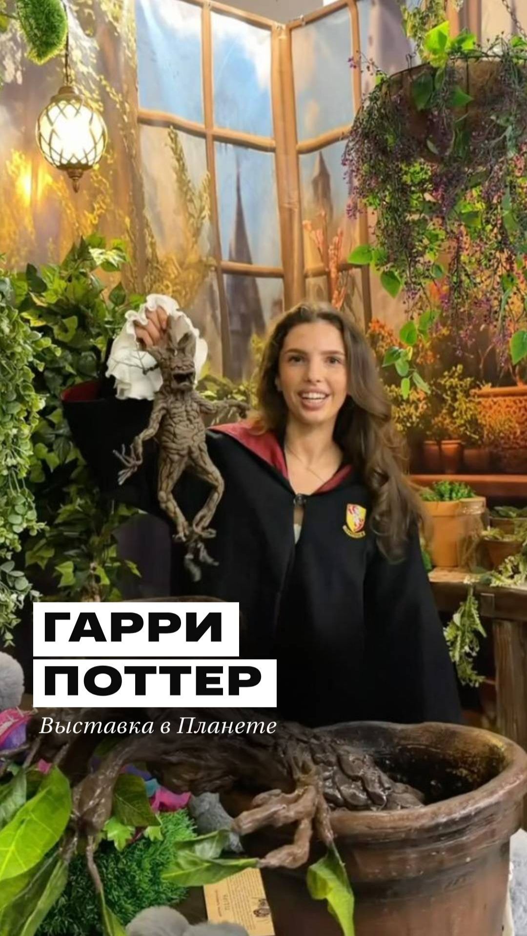 Гарри Поттер в Планете⚡🪄