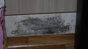 МУЧЕНИЯ СИРОТЫ