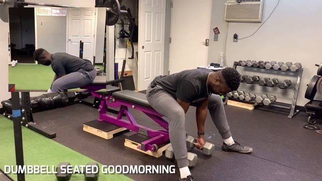 Разгибания спины с весом сидя | Dumbbell Seated Goodmorning