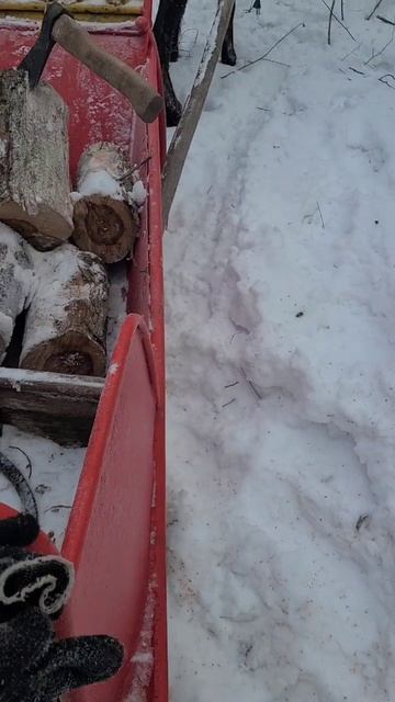 Вот почему я работаю на орловских рысаках