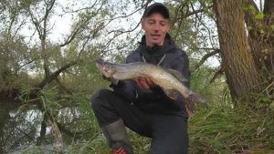 Ловля щуки в РУЧЬЕ на спиннинг. Рыбалка осенью 2025