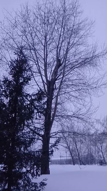 Ты укрой меня СНЕГОМ ЗИМА!!!