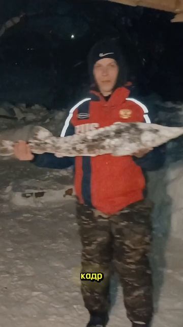 ОСЕТР НА 6 КГ!