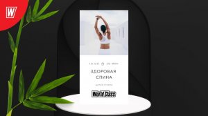 ЗДОРОВАЯ СПИНА с Дарьей Уткиной | 8 февраля 2026 Онлайн-тренировки World Class