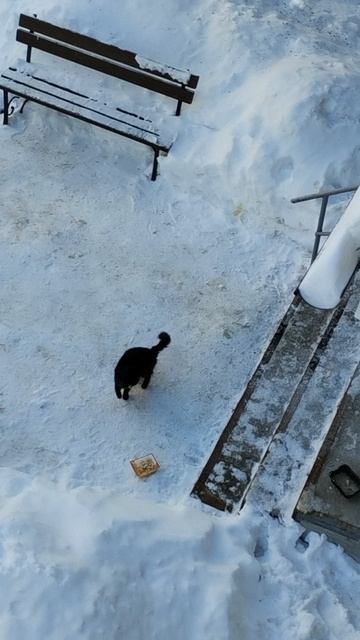 PXL_20260204_143516525