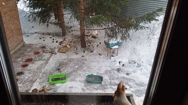 новые белки