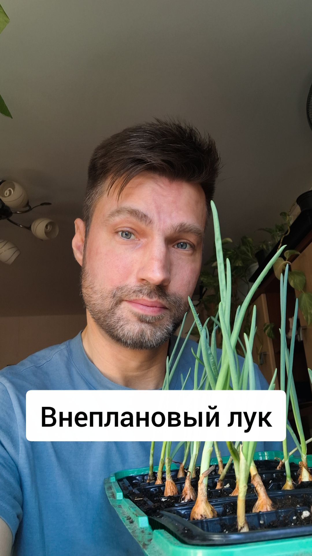  Внеплановый лук