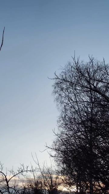 05.02.2026 #сегоднятак #природа #прырода #табиғ #自然 #natureza #natura #자연 #طبيعة #प्रकृति #nature