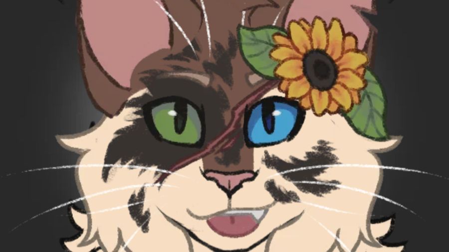 Конкурс продлится до 12 февраляжду артики