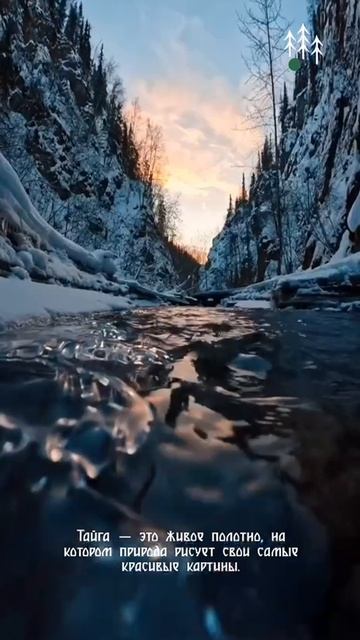 Вдохновляемся красотой Сибирской Природы