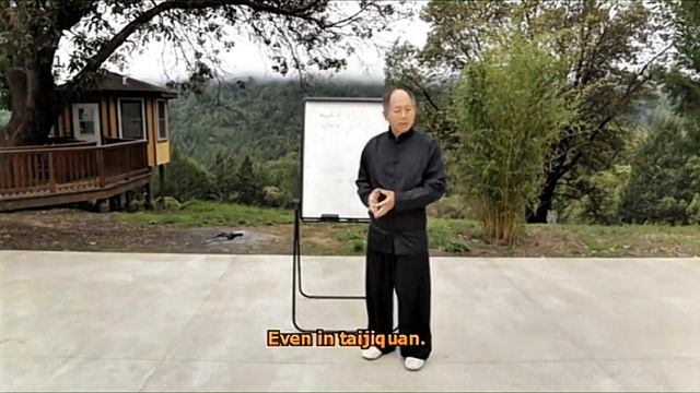 Боевой цигун 21. Циркуляция ци Ян Цзюньмин