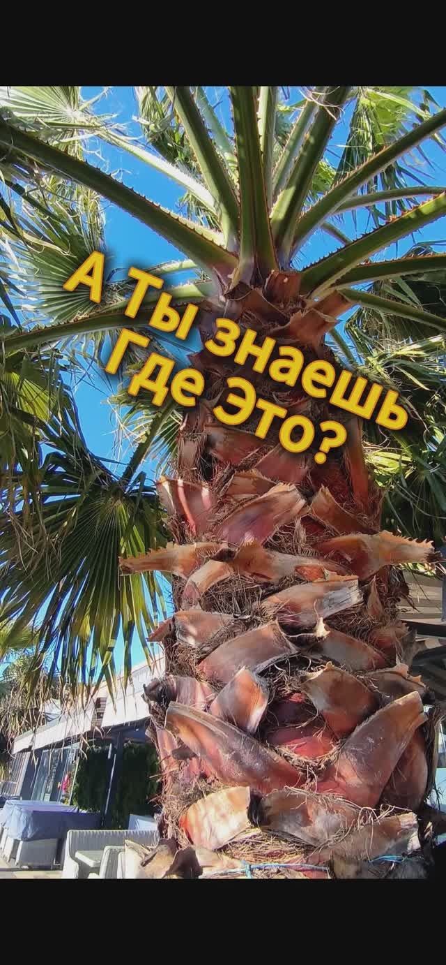 А ты знаешь где это ?