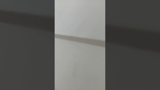 МАЗ 11м3 с Квотой