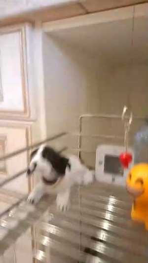 наблюдение за землятресениями в Краснодаре