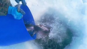 Запуск от 05.02.26