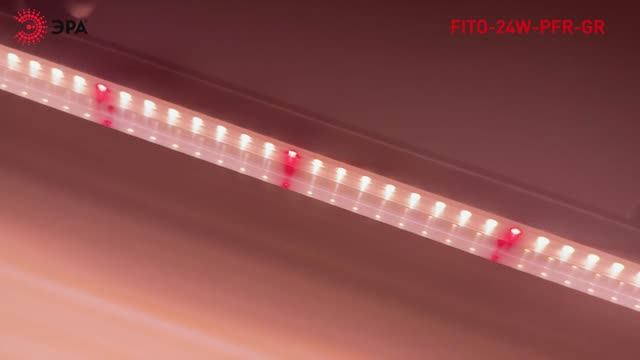 Линейный фитосветильник ЭРА GREEN LINE ФИТО-24W-PFR-GR смотреть онлайн