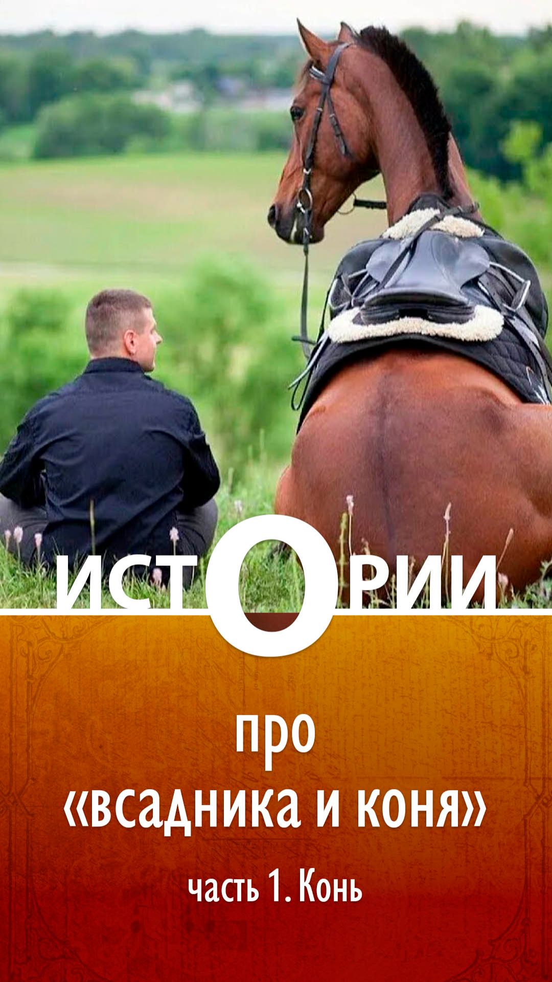 Истории О. Про всадника и коня. Часть 1. Конь