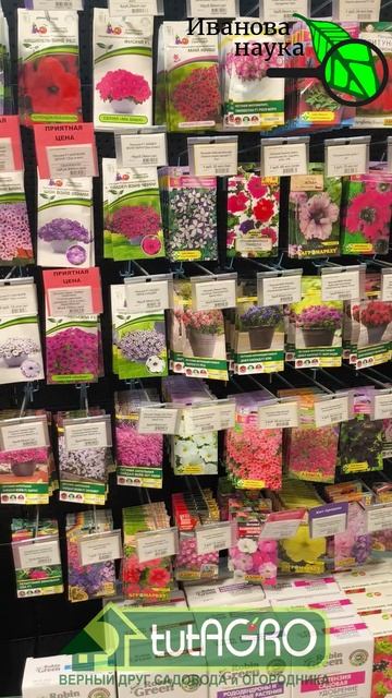 Не покупайте «пыль»! ОБАЛДЕННЫЕ ПЕТУНИИ! Где взять лучшие семена петунии? Петуния как на картинке.