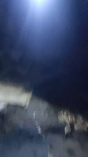 Девушка очень просит помощи в подвале живут собачки,среди них овчарка.Лапка весит как тряпочка,собак