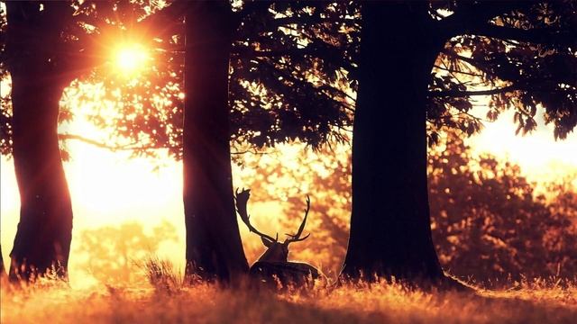 Шахматный столик смотреть онлайн