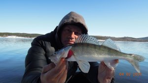 Судачок зимой с берега.