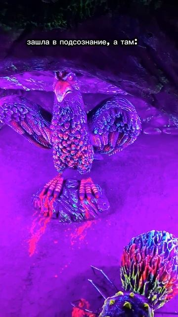 работа спсихологом.mp4