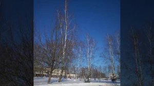 Явление © Copyright: Бронислав Сычёв, 2026
Свидетельство о публикации №126020105399