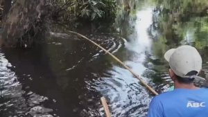 ТЕРПЕЛИВЫЙ РЫБОЛОВ