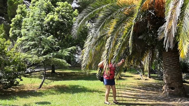 Прогулка по Сочинской Центральной набережной
