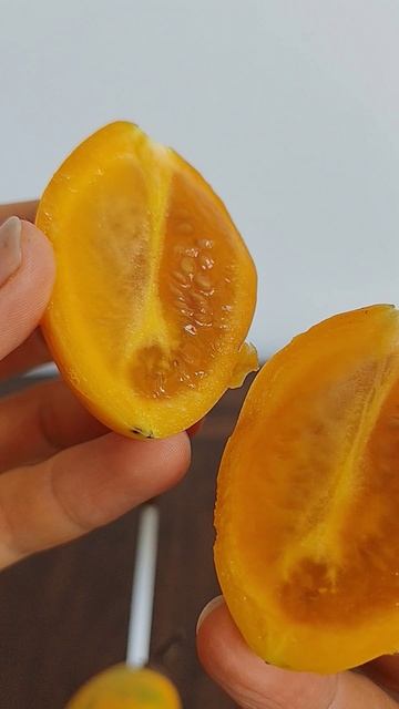 Жёлтый тамарилло #тамарилло #томаты #фрукторианство #фруктымира #фрукты #плоды #сыроедение #веган Жёлтый тамарилло #тамарилло #томаты #фрукторианство #фруктымира #фрукты #плоды #сыроедение #веган