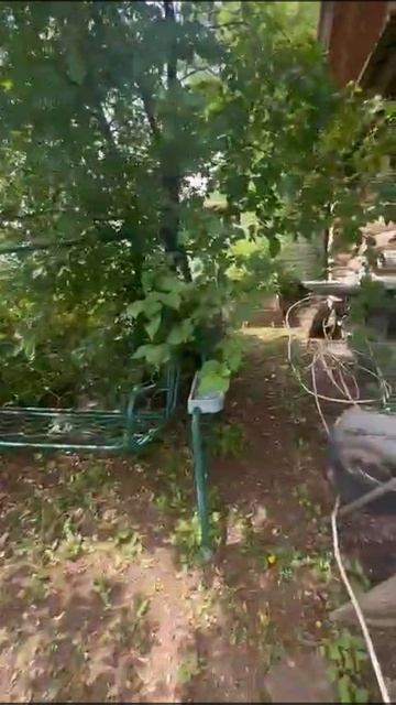 video5462972141634878159