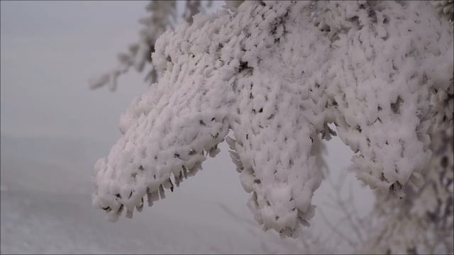 5 Февраля - Денежный взлёт. Как приумножить благо. смотреть онлайн