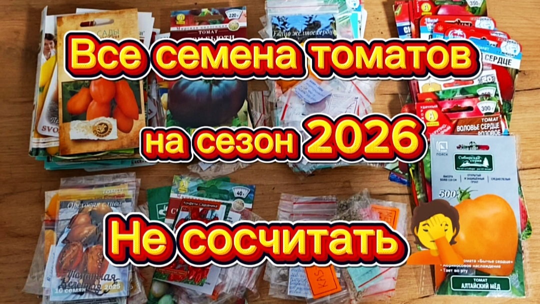 Все мои томаты на новый сезон.Очень-очень много.😁 смотреть онлайн