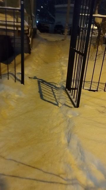 №1229 Двор П. Осипенко 48. 29 декабря 2025 г., 18:44:08 VID_20251229_184358897