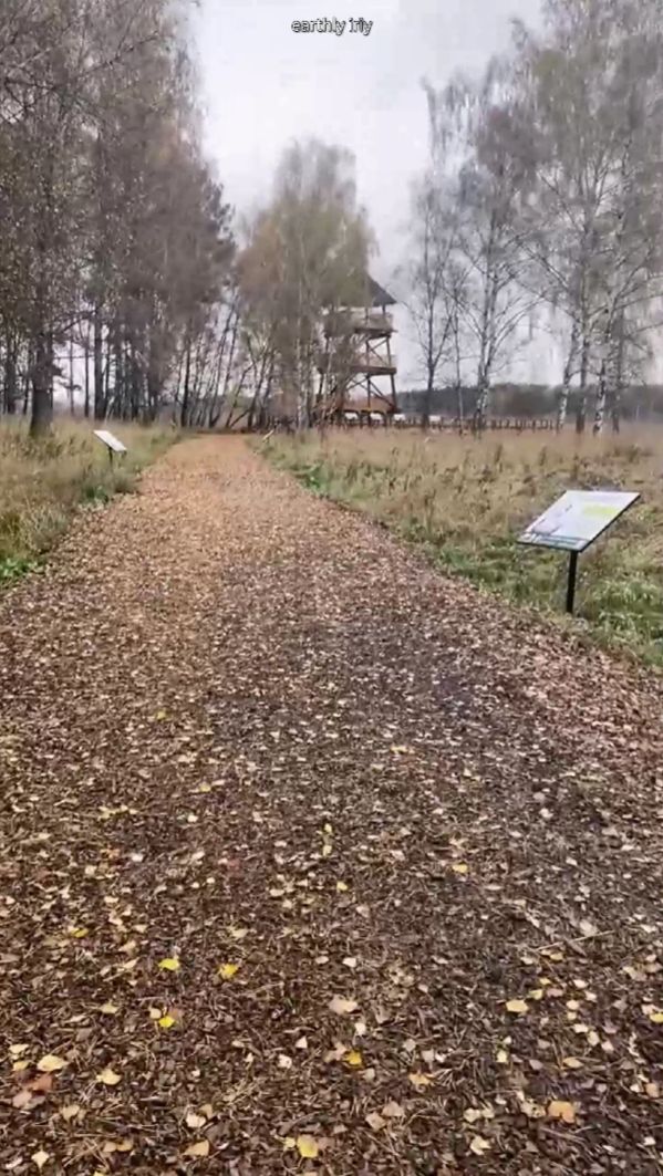 Информационные таблички с видами птиц #земнойирий #лосиныйостров #лосинаябиостанция #природа