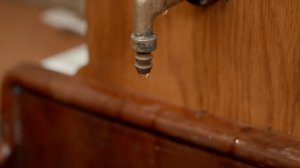 Музейные заметки | Раковина