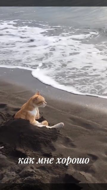 Не думай, а чувствуй!