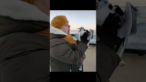 В гармонии с природой 🪽